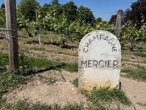 Réparation dégât des eaux Meyzieu